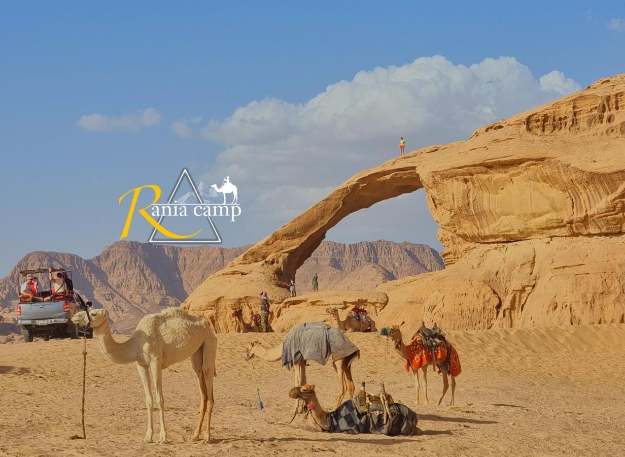 Wadi Rum,Rania Camp Eksteriør bilde