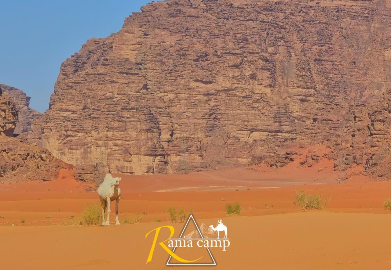 Wadi Rum,Rania Camp Eksteriør bilde